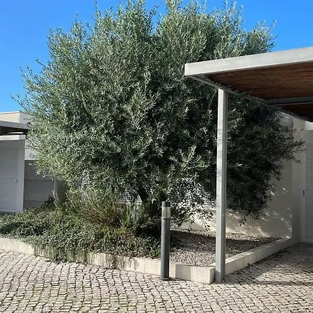 Meco Beach With Private Pool Sesimbra